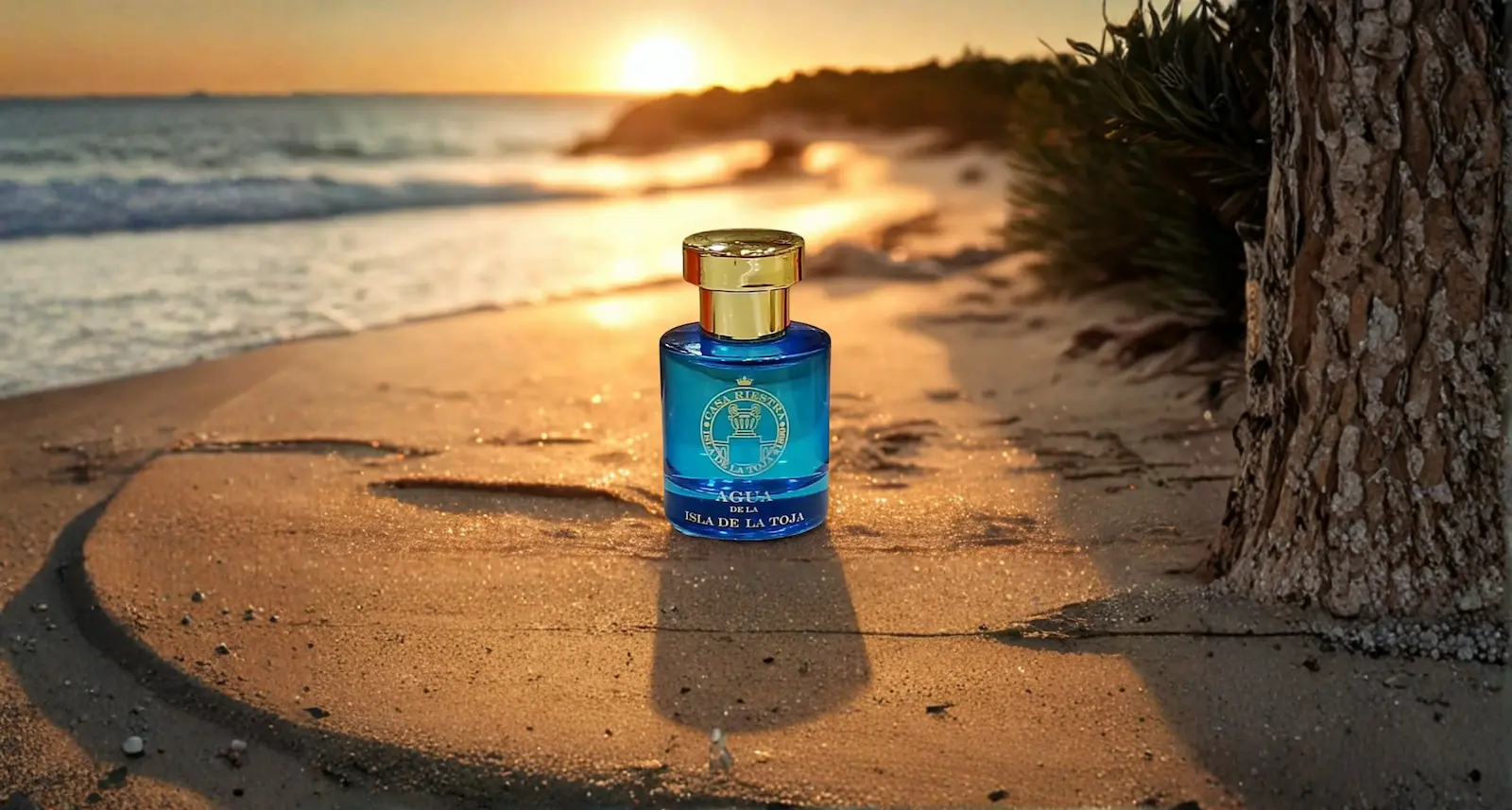 diseño 30 (3360 x 1800 px)